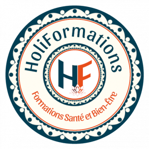 holiformations-Insigne